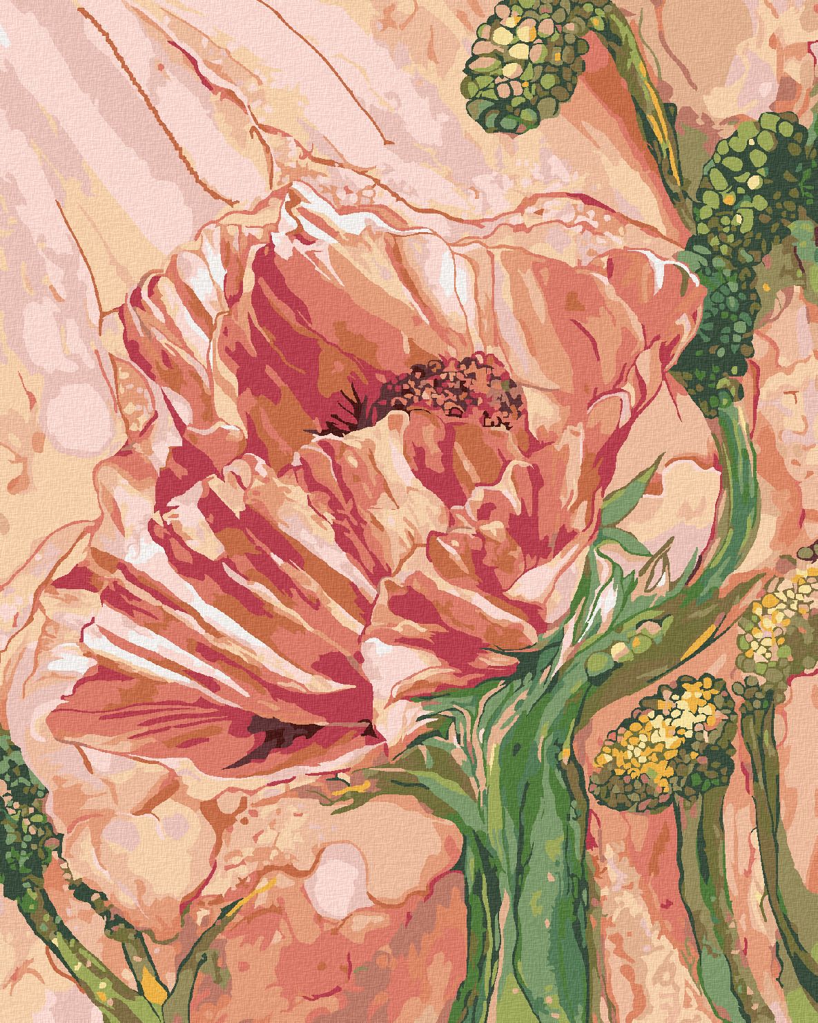 zuty Malování podle čísel - MÁK (CAROL CAVALARIS) - Rozměr: 40x50 cm, Rámování: Varianta: vypnuté plátno na rám - obrázek 1