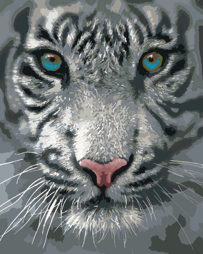 zuty Malování podle čísel – BÍLÝ TYGR (COLLIN BOGLE) - Rozměr: 40x50 cm, Rámování: Varianta: vypnuté plátno na rám - obrázek 7