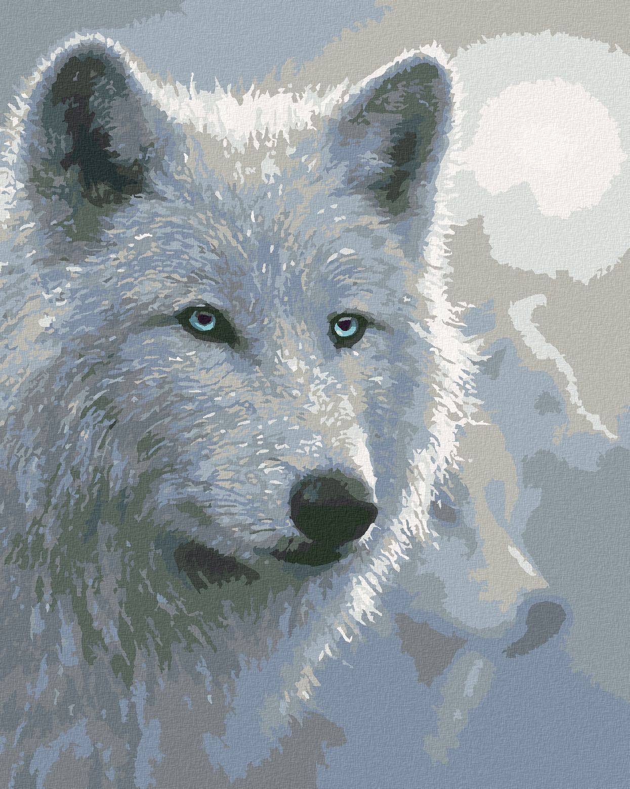 zuty Malování podle čísel – BÍLÝ VLK (COLLIN BOGLE) - Rozměr: 40x50 cm, Rámování: Varianta: bez rámu a bez vypnutí plátna - obrázek 1