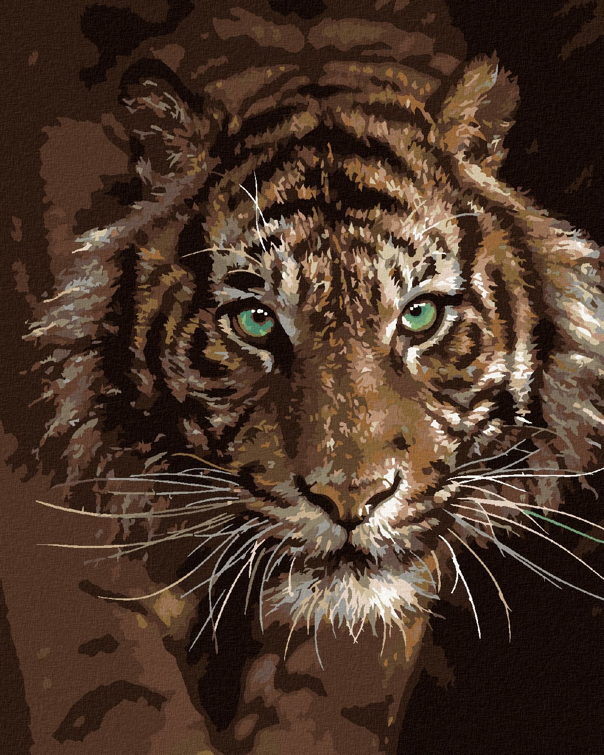 zuty Malování podle čísel – TYGŘÍ POHLED (COLLIN BOGLE) - Rozměr: 40x50 cm, Rámování: Varianta: bez rámu a bez vypnutí plátna - obrázek 1