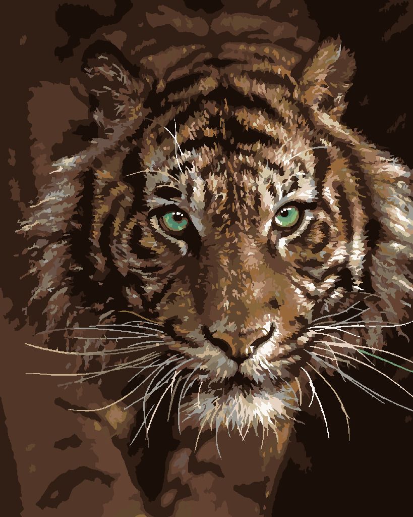 zuty Malování podle čísel – TYGŘÍ POHLED (COLLIN BOGLE) - Rozměr: 40x50 cm, Rámování: Varianta: vypnuté plátno na rám - obrázek 4