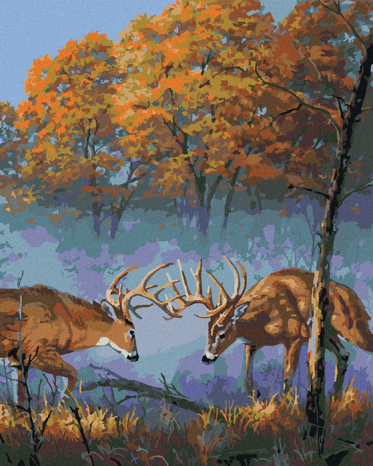 zuty Malování podle čísel - SOUBOJ JELENŮ (DARRELL BUSH) - Rozměr: 40x50 cm, Rámování: Varianta: vypnuté plátno na rám - obrázek 1