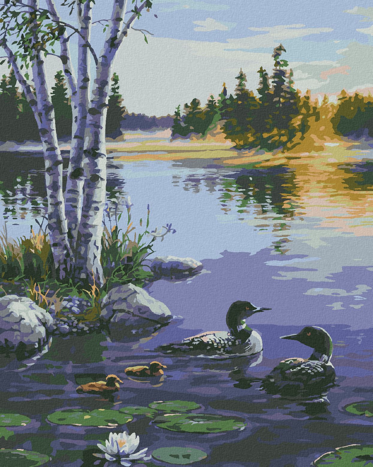 zuty Malování podle čísel - VÝCHOD SLUNCE, KACHNÍ RODINA A LEKNÍNY NA JEZEŘE (DARRELL BUSH) - Rozměr: 40x50 cm, Rámování: Varianta: bez rámu a bez vypnutí plátna - obrázek 1