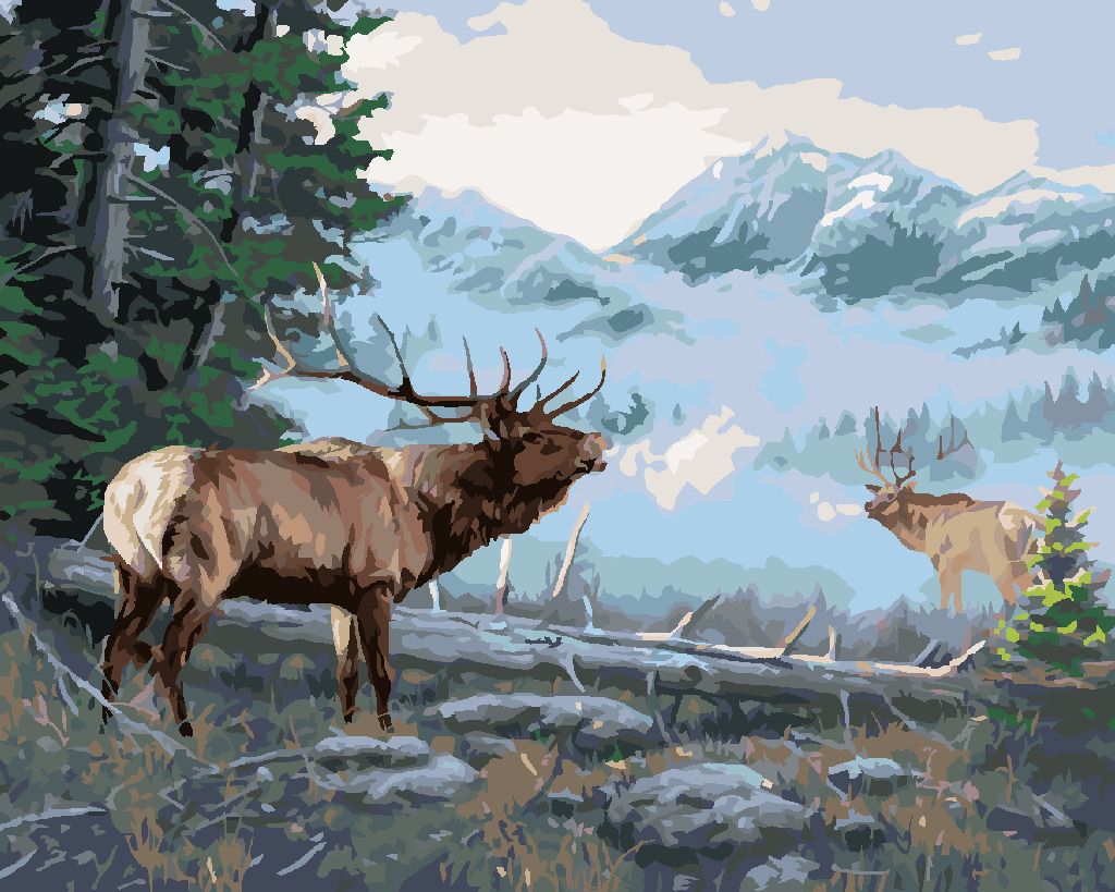 zuty Malování podle čísel - JELENI A HORY (DARRELL BUSH) - Rozměr: 40x50 cm, Rámování: Varianta: vypnuté plátno na rám - obrázek 3