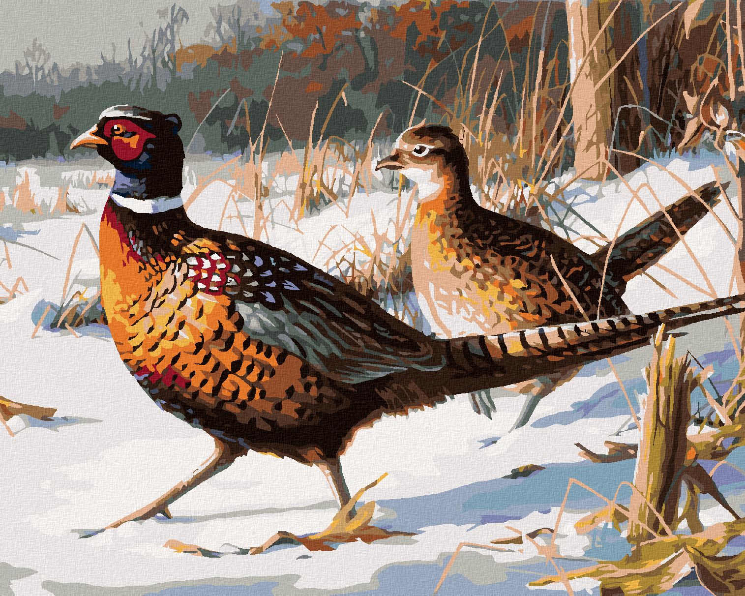 zuty Malování podle čísel – BAŽANT S DRUŽKOU VE SNĚHU (JAMES HAUTMAN) - Rozměr: 40x50 cm, Rámování: Varianta: bez rámu a bez vypnutí plátna - obrázek 1
