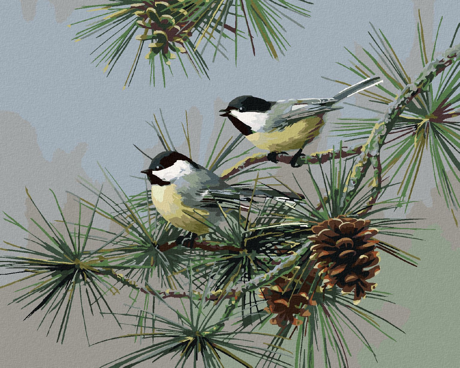 zuty Malování podle čísel – SÝKORA NA JEHLIČNATÉ VĚTVI (JAMES HAUTMAN) - Rozměr: 40x50 cm, Rámování: Varianta: vypnuté plátno na rám - obrázek 1