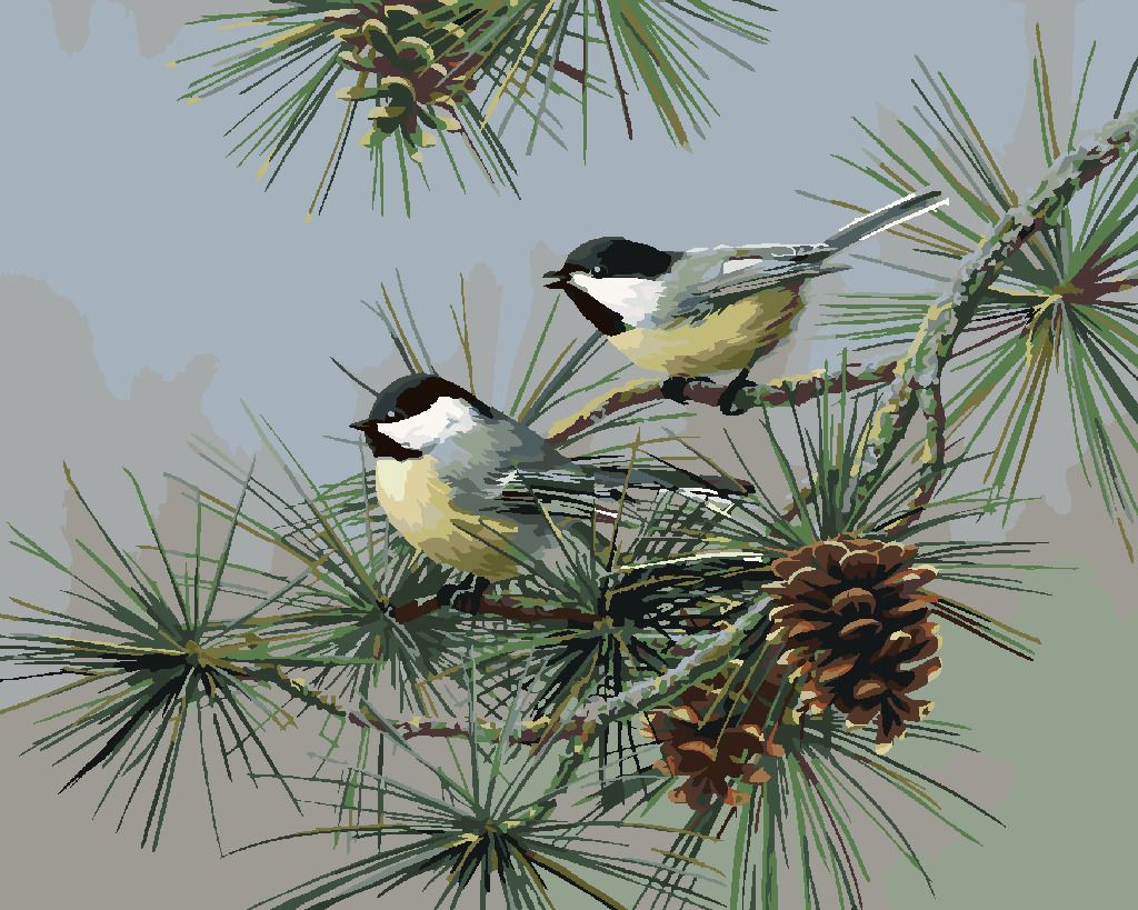 zuty Malování podle čísel – SÝKORA NA JEHLIČNATÉ VĚTVI (JAMES HAUTMAN) - Rozměr: 40x50 cm, Rámování: Varianta: vypnuté plátno na rám - obrázek 5