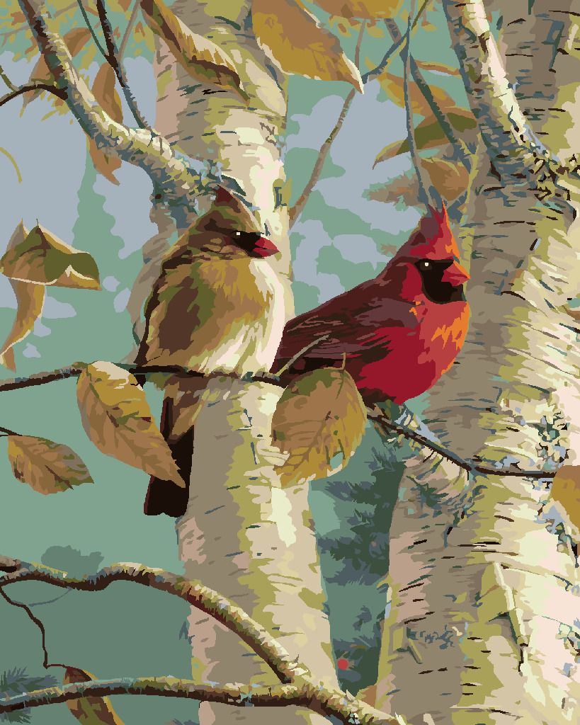 zuty Malování podle čísel – PTÁK KARDINÁL A BŘÍZA (JAMES HAUTMAN) - Rozměr: 40x50 cm, Rámování: Varianta: vypnuté plátno na rám - obrázek 6