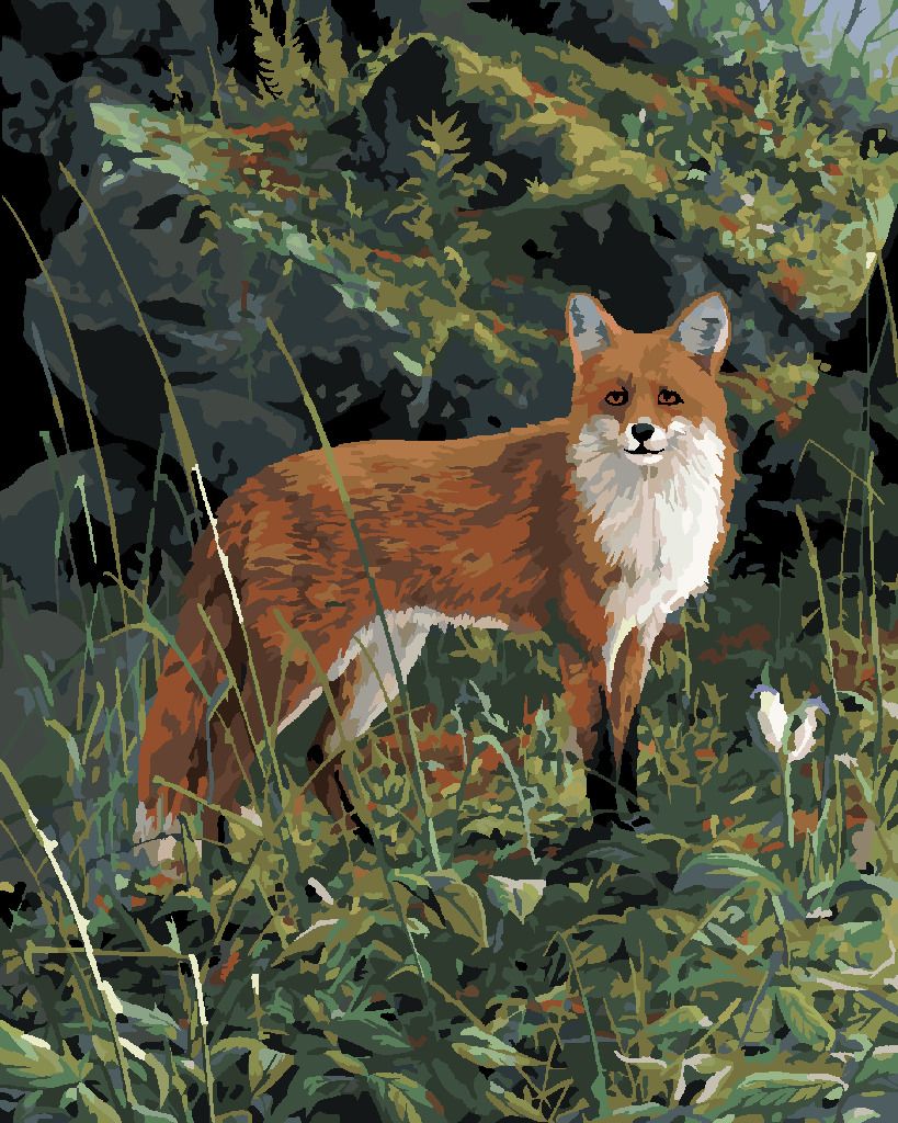 zuty Malování podle čísel – LIŠKA V LESE (JAMES HAUTMAN) - Rozměr: 40x50 cm, Rámování: Varianta: vypnuté plátno na rám - obrázek 7