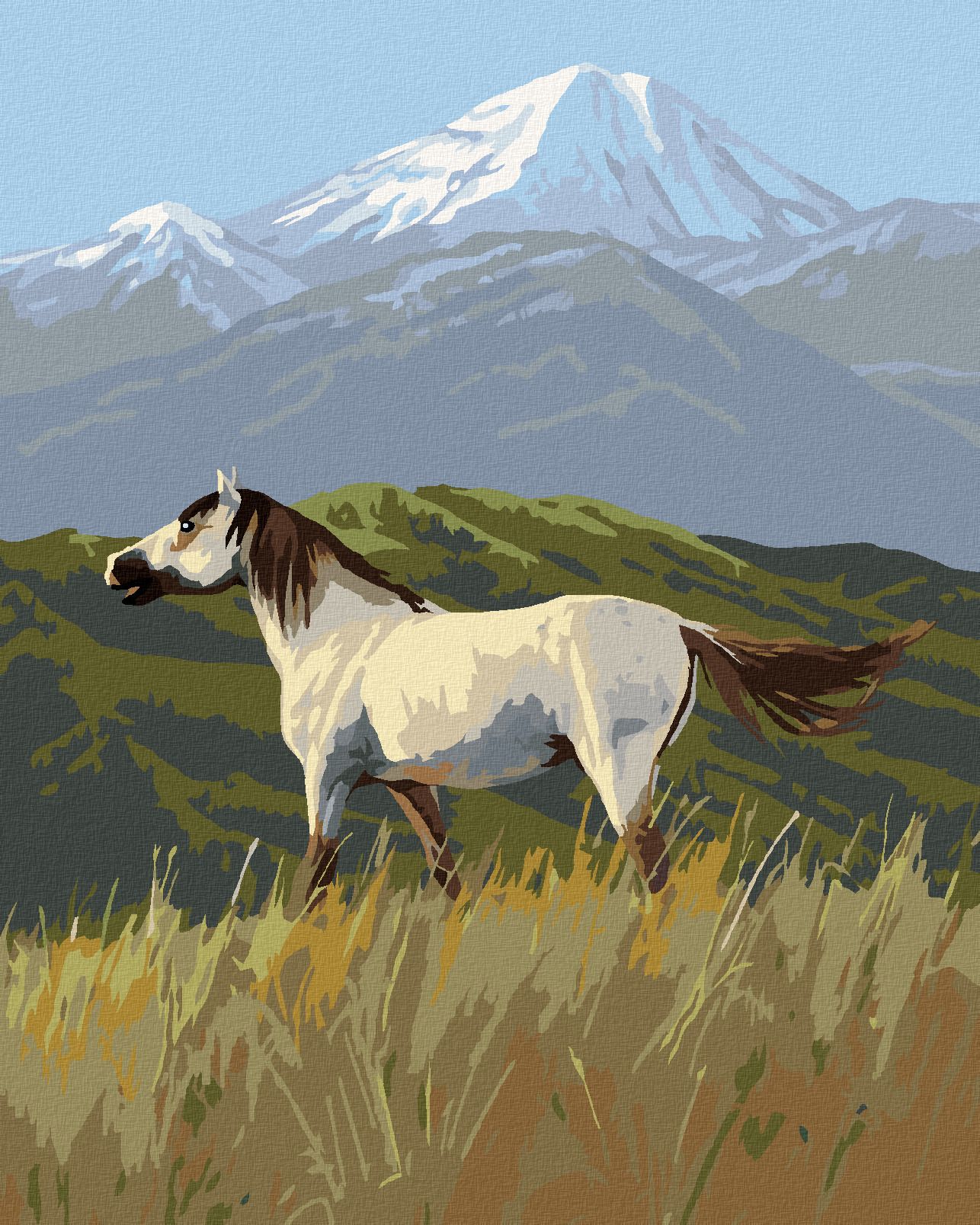 zuty Malování podle čísel – DÍVOKÝ KŮŇ MUSTANG A HORY (JAMES HAUTMAN) - Rozměr: 40x50 cm, Rámování: Varianta: vypnuté plátno na rám - obrázek 1