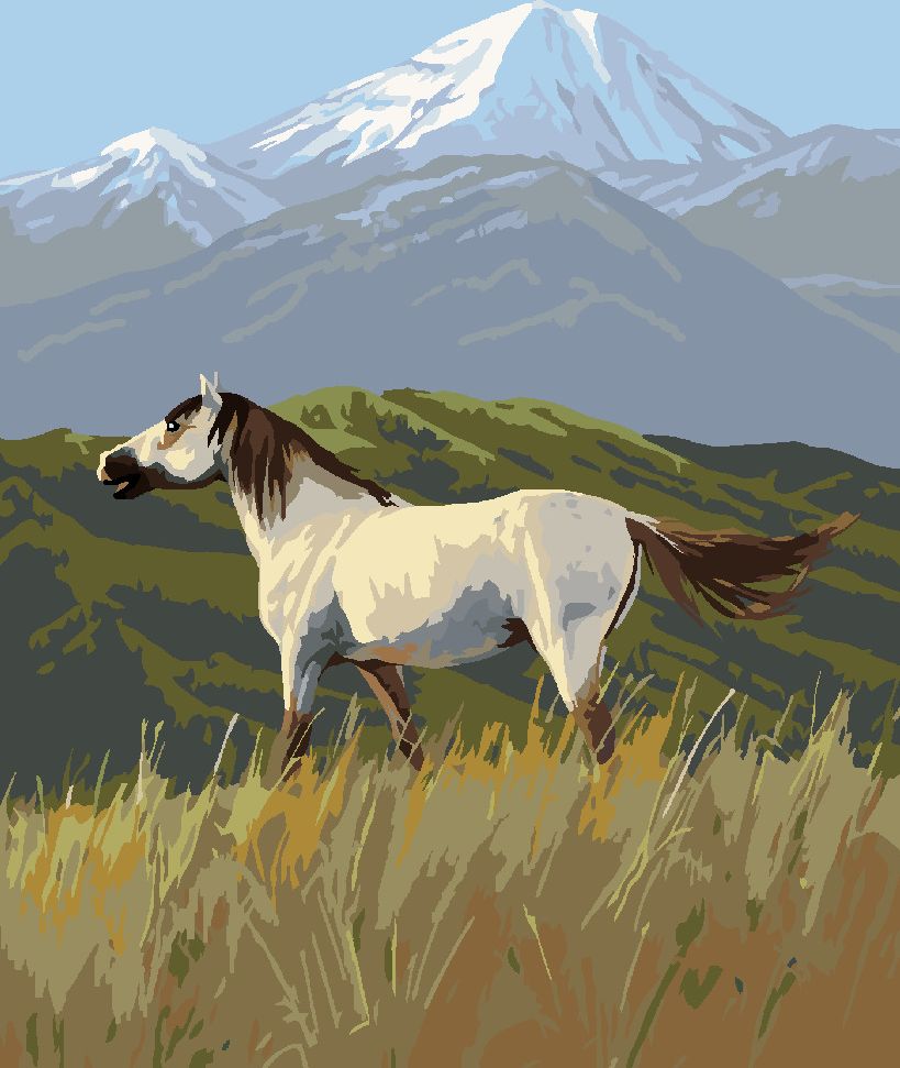 zuty Malování podle čísel – DÍVOKÝ KŮŇ MUSTANG A HORY (JAMES HAUTMAN) - Rozměr: 40x50 cm, Rámování: Varianta: vypnuté plátno na rám - obrázek 8