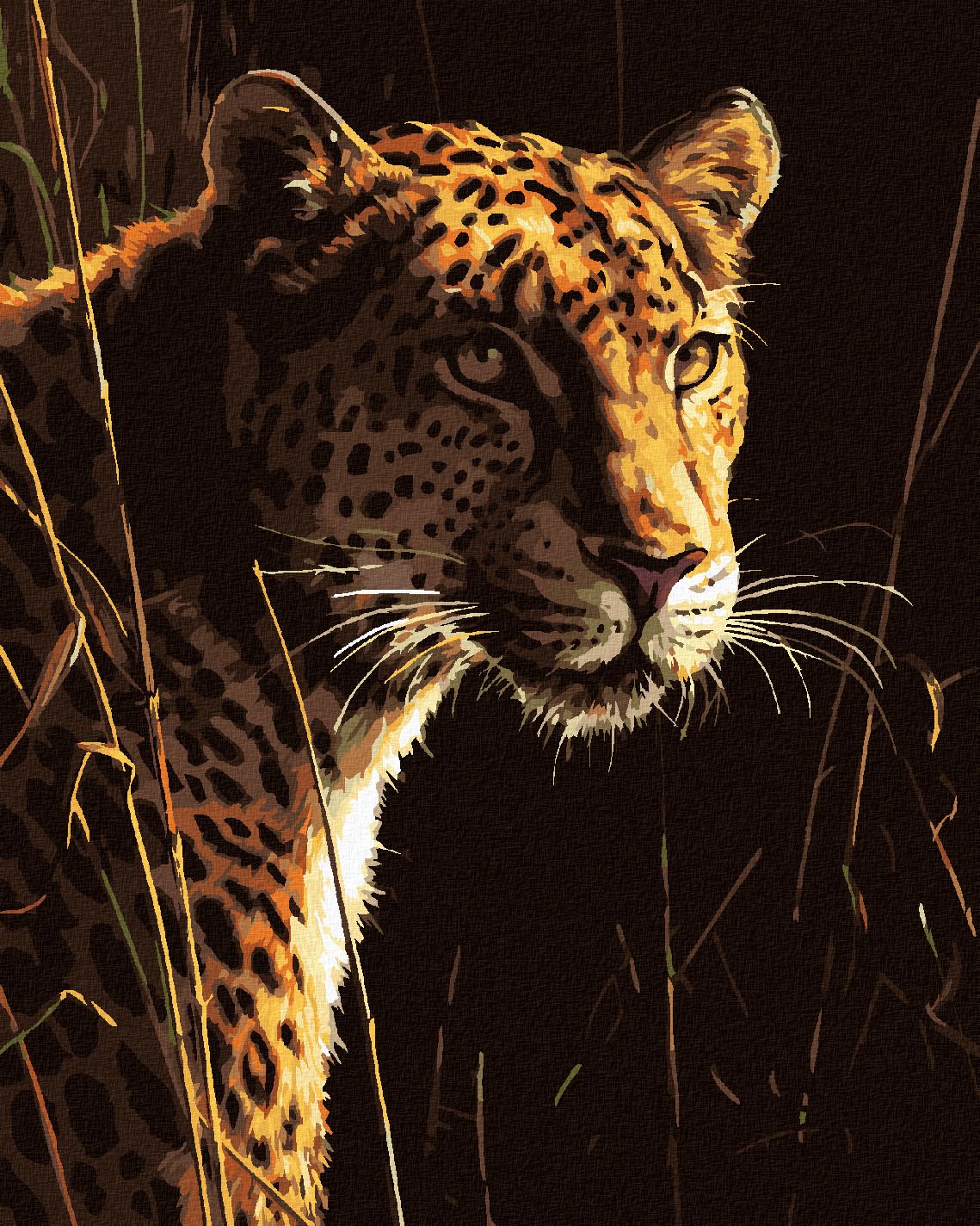 zuty Malování podle čísel – LEOPARD V TRÁVĚ (JAMES HAUTMAN) - Rozměr: 40x50 cm, Rámování: Varianta: vypnuté plátno na rám - obrázek 1