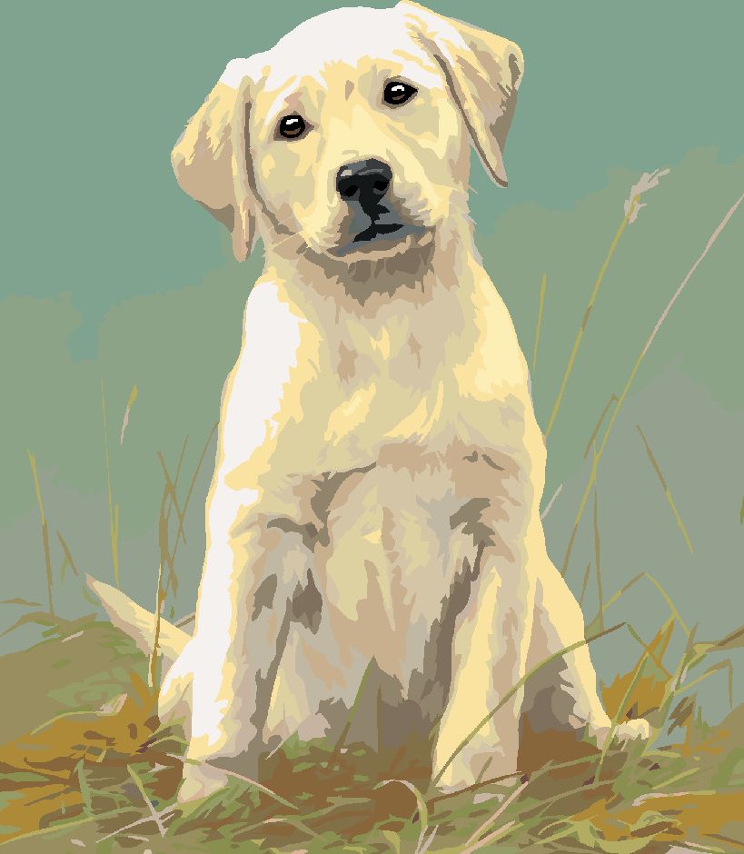 zuty Malování podle čísel – ŠTĚNĚ LABRADORA (JAMES HAUTMAN) - Rozměr: 40x50 cm, Rámování: Varianta: vypnuté plátno na rám - obrázek 9