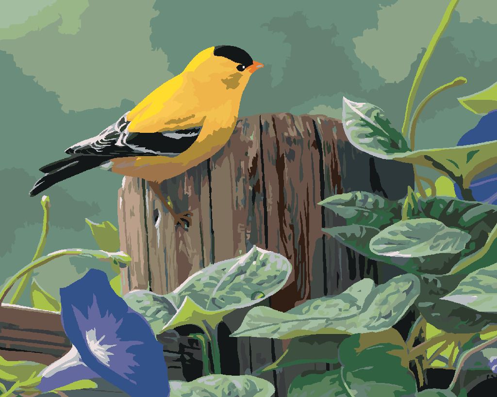 zuty Malování podle čísel – ČÍŽEK NA PLOTĚ A FIALOVÉ KVĚTINY (JAMES HAUTMAN) - Rozměr: 40x50 cm, Rámování: Varianta: bez rámu a bez vypnutí plátna - obrázek 8