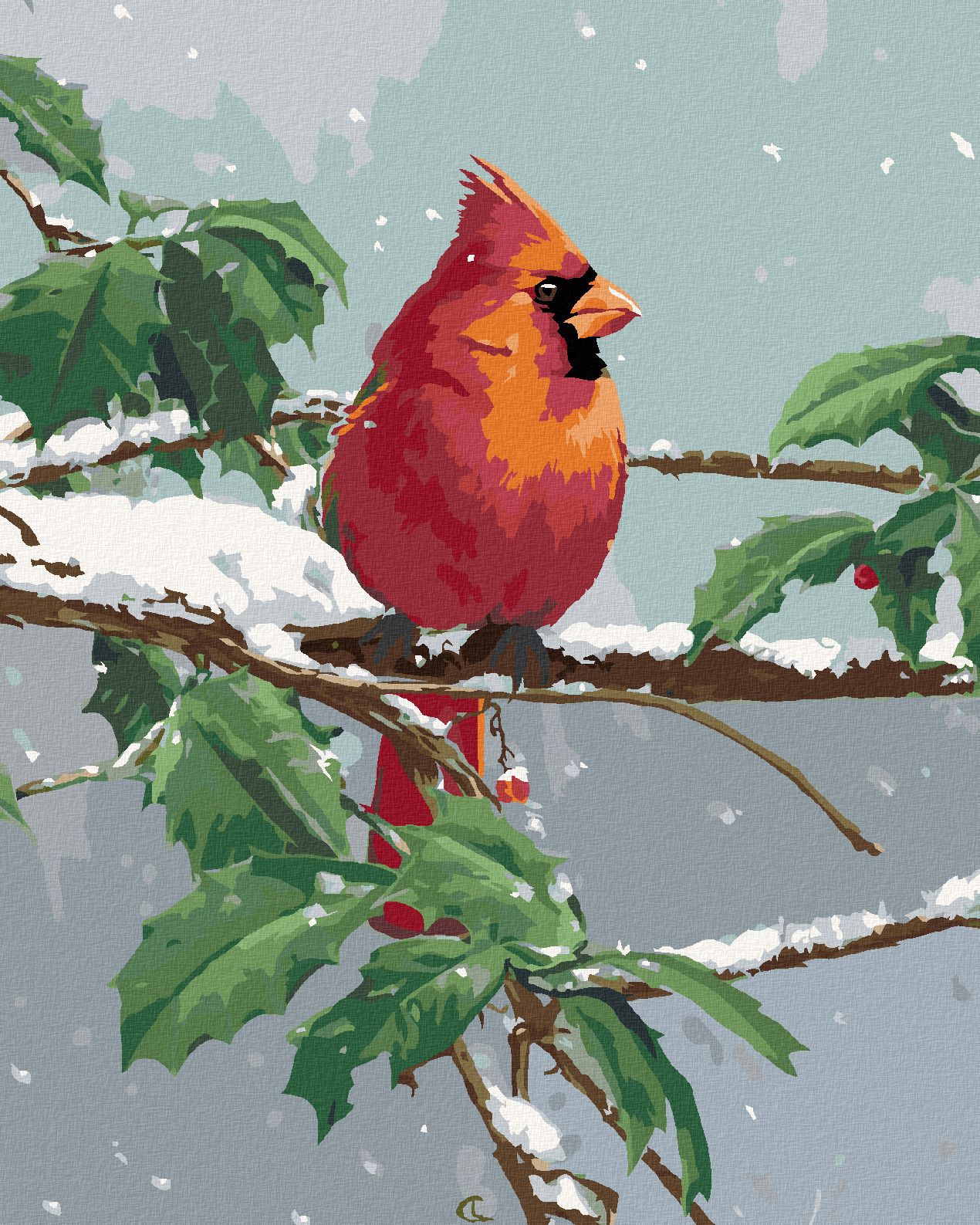 zuty Malování podle čísel – PTÁK KARDINAL NA ZASNĚŽENÉ VĚTVI CESMÍNY (JAMES HAUTMAN) - Rozměr: 40x50 cm, Rámování: Varianta: bez rámu a bez vypnutí plátna - obrázek 1