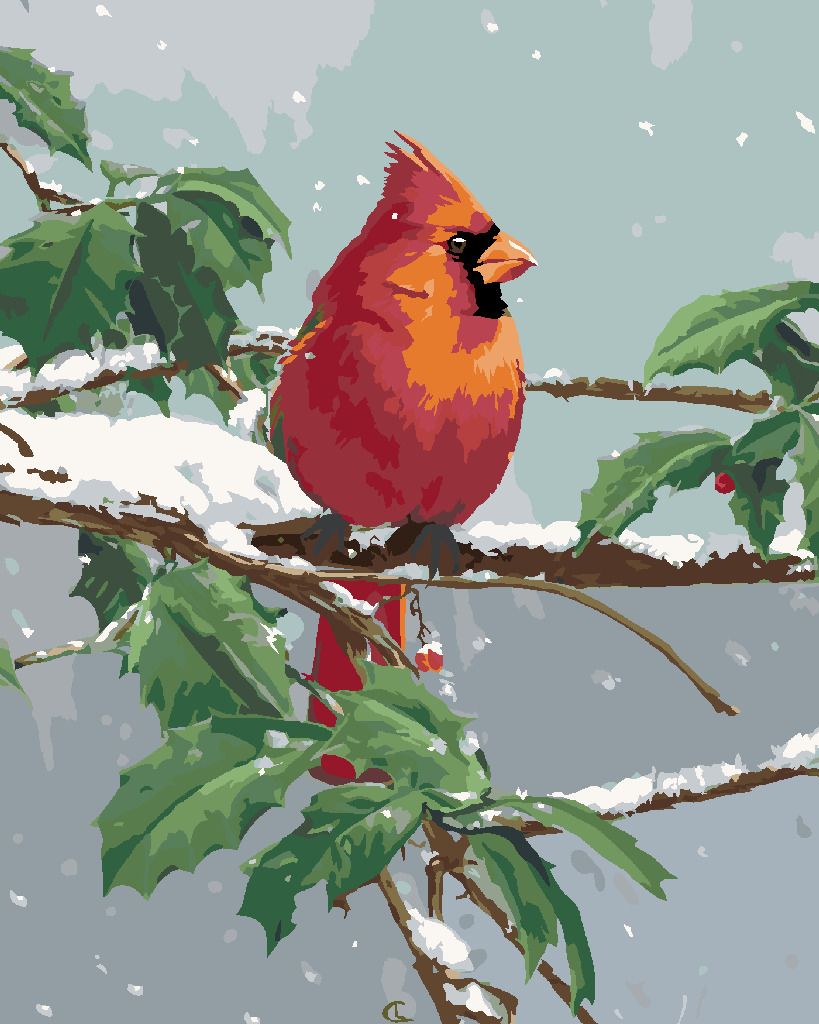 zuty Malování podle čísel – PTÁK KARDINAL NA ZASNĚŽENÉ VĚTVI CESMÍNY (JAMES HAUTMAN) - Rozměr: 40x50 cm, Rámování: Varianta: bez rámu a bez vypnutí plátna - obrázek 10