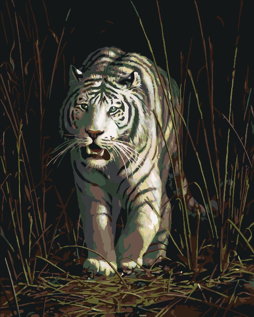 zuty Malování podle čísel – BÍLÝ TYGR V TRÁVĚ (JAMES HAUTMAN) - Rozměr: 40x50 cm, Rámování: Varianta: vypnuté plátno na rám - obrázek 10