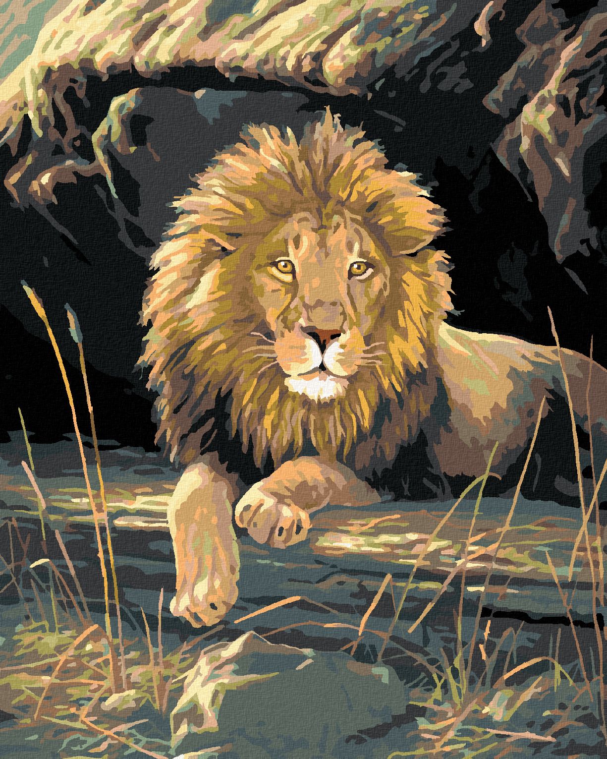 zuty Malování podle čísel – ODPOČÍVAJÍCÍ LEV (JAMES HAUTMAN) - Rozměr: 40x50 cm, Rámování: Varianta: vypnuté plátno na rám - obrázek 1