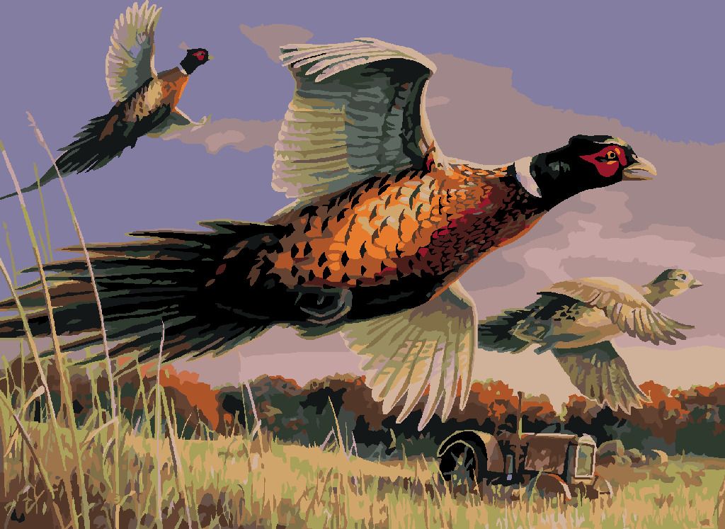 zuty Malování podle čísel – BAŽANTI V LETU A TRAKTOR (JAMES HAUTMAN) - Rozměr: 40x50 cm, Rámování: Varianta: vypnuté plátno na rám - obrázek 10