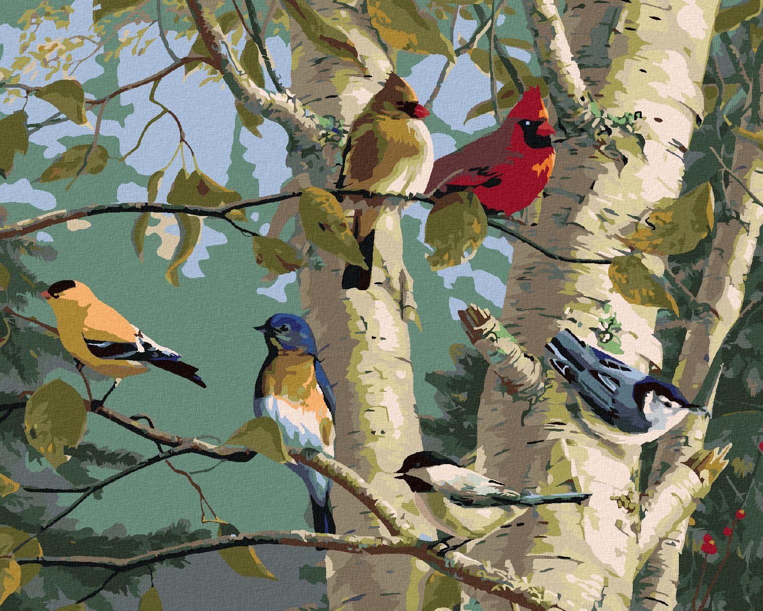 zuty Malování podle čísel – ZPĚVNÍ PTÁCI A BŘÍZA (JAMES HAUTMAN) - Rozměr: 40x50 cm, Rámování: Varianta: vypnuté plátno na rám - obrázek 1