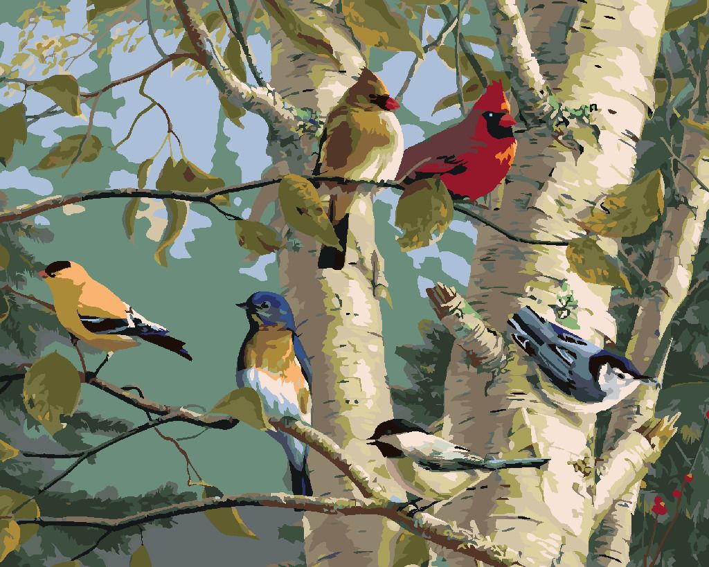 zuty Malování podle čísel – ZPĚVNÍ PTÁCI A BŘÍZA (JAMES HAUTMAN) - Rozměr: 40x50 cm, Rámování: Varianta: vypnuté plátno na rám - obrázek 9