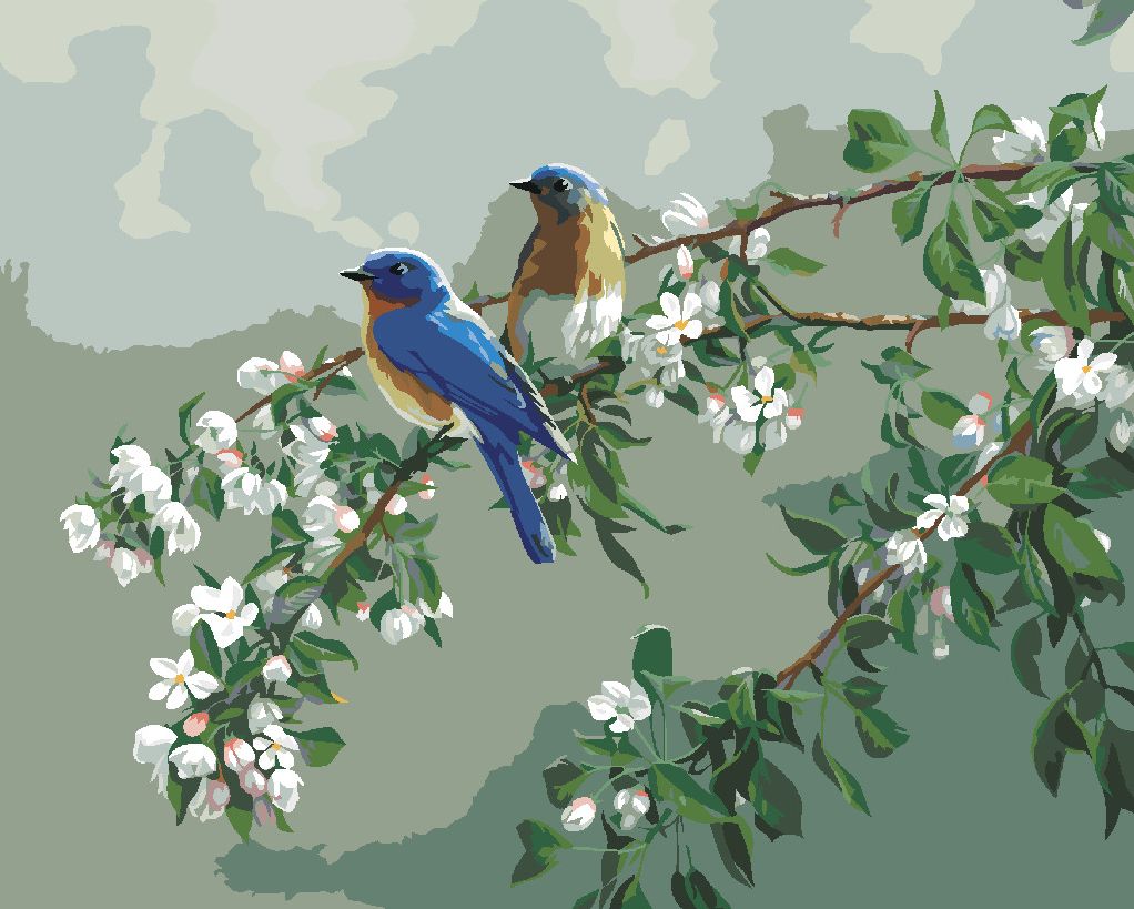 zuty Malování podle čísel – MODŘÍ PTÁCI A ROZKVETLÁ VĚTEV (JAMES HAUTMAN) - Rozměr: 40x50 cm, Rámování: Varianta: bez rámu a bez vypnutí plátna - obrázek 7