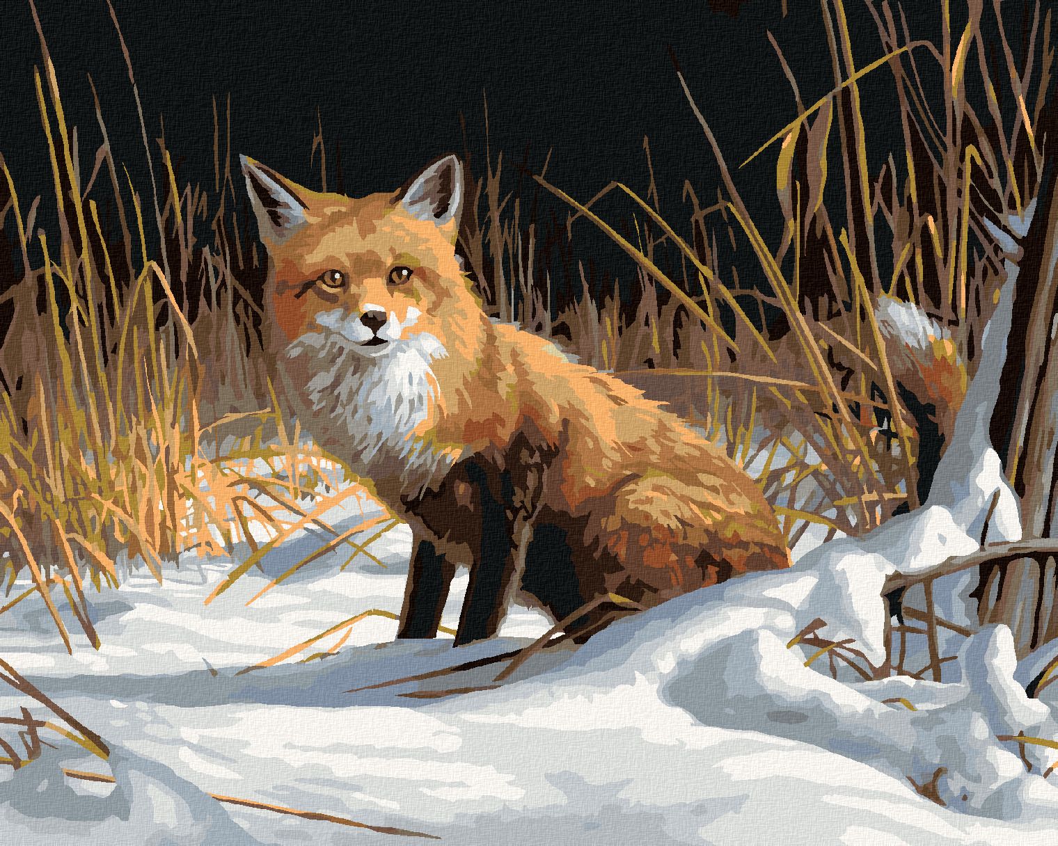 zuty Malování podle čísel – LIŠKA VE SNĚHU (JAMES HAUTMAN) - Rozměr: 40x50 cm, Rámování: Varianta: vypnuté plátno na rám - obrázek 1
