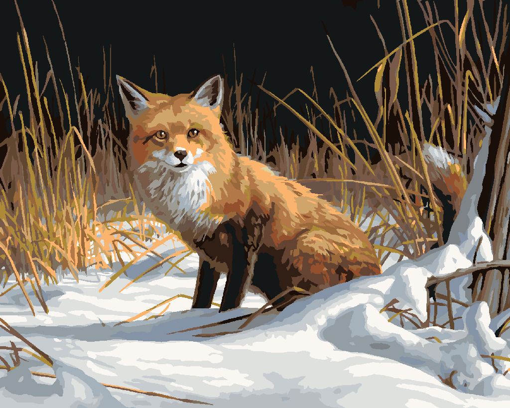 zuty Malování podle čísel – LIŠKA VE SNĚHU (JAMES HAUTMAN) - Rozměr: 40x50 cm, Rámování: Varianta: vypnuté plátno na rám - obrázek 7