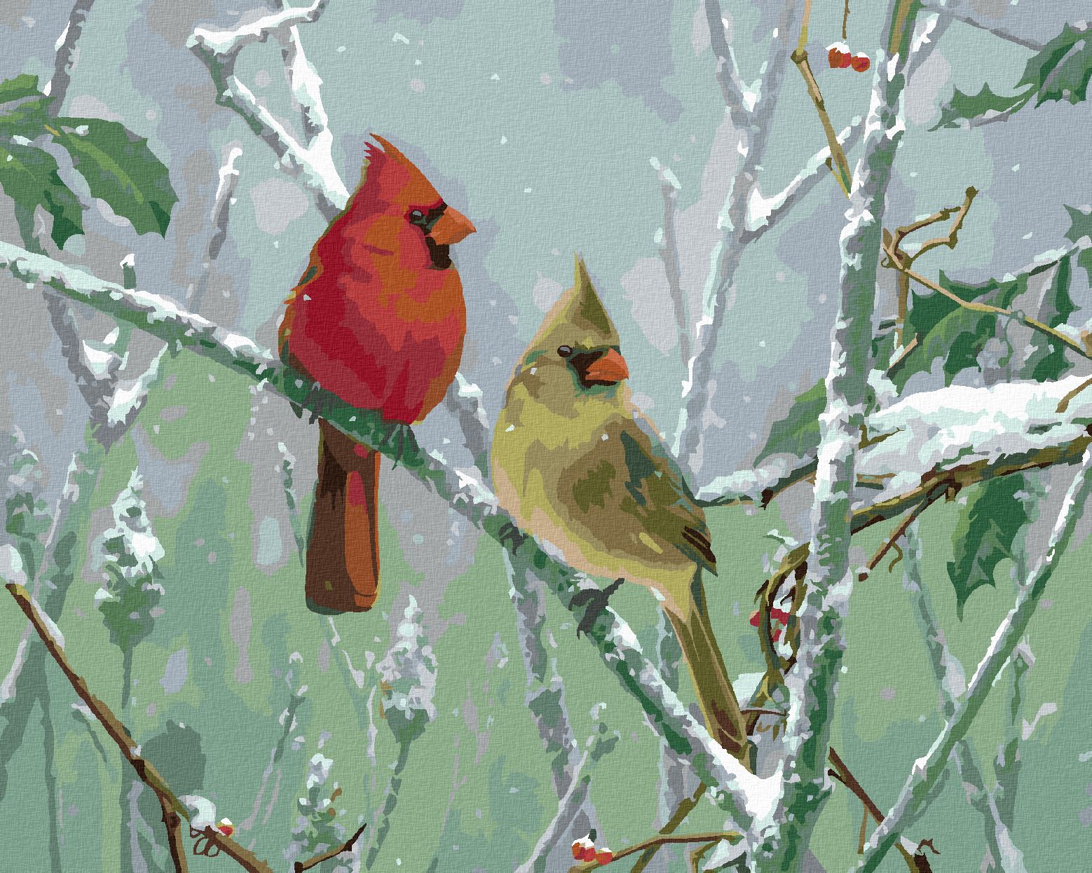 zuty Malování podle čísel – PTÁK KARDINÁL NA ZASNĚŽENÉ VĚTVI (JAMES HAUTMAN) - Rozměr: 40x50 cm, Rámování: Varianta: vypnuté plátno na rám - obrázek 1
