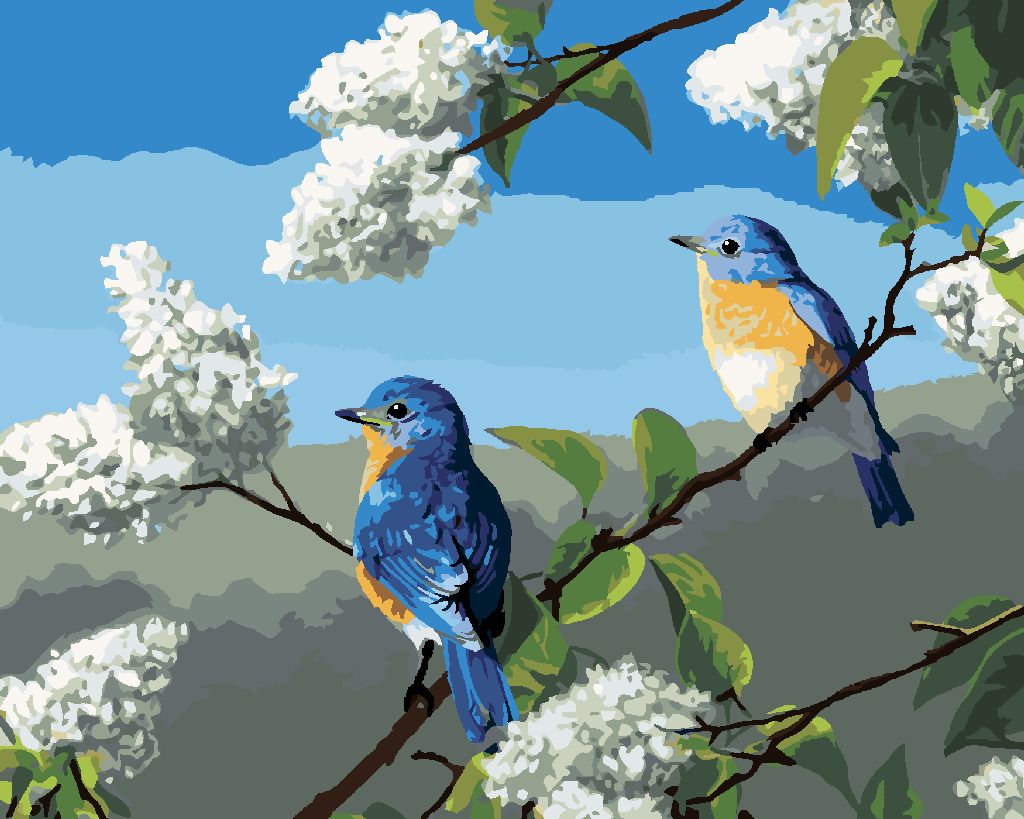 zuty Malování podle čísel - PTÁK SALAŠNÍK A ŠEŘÍK (ROBERT HAUTMAN) - Rozměr: 40x50 cm, Rámování: Varianta: bez rámu a bez vypnutí plátna - obrázek 8