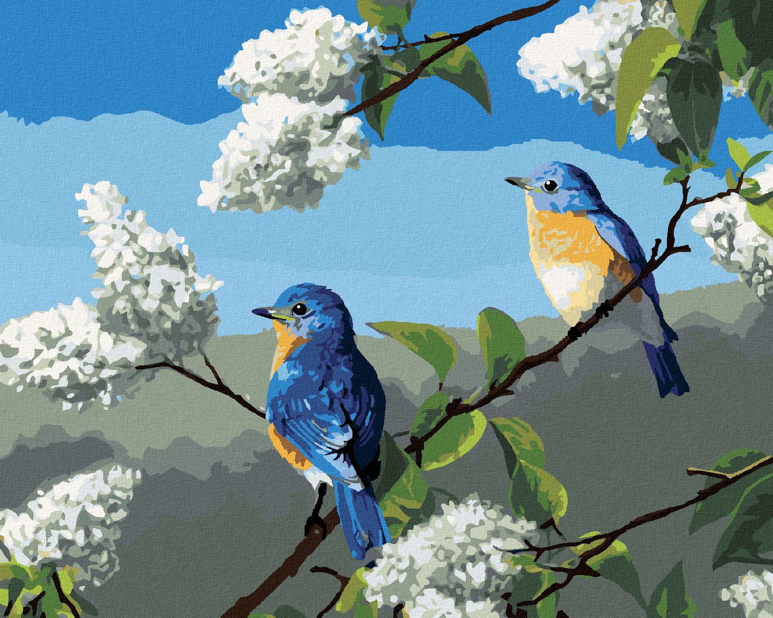 zuty Malování podle čísel - PTÁK SALAŠNÍK A ŠEŘÍK (ROBERT HAUTMAN) - Rozměr: 40x50 cm, Rámování: Varianta: vypnuté plátno na rám - obrázek 1
