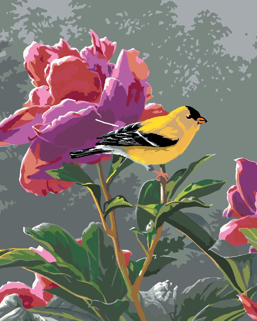 zuty Malování podle čísel – ČÍŽEK A PIVOŇKY (JAMES HAUTMAN) - Rozměr: 40x50 cm, Rámování: Varianta: vypnuté plátno na rám - obrázek 9