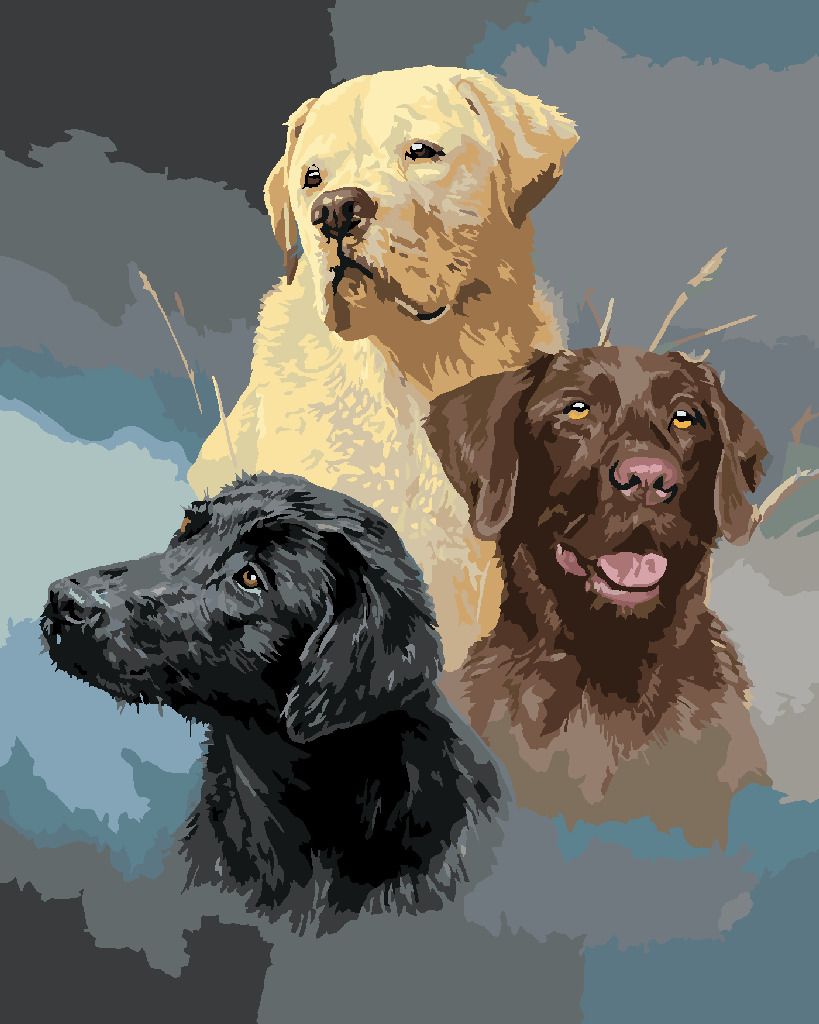 zuty Malování podle čísel - ZLATÝ, HNĚDÝ A ČERNÝ LABRADOR (JAMES HAUTMAN) - Rozměr: 40x50 cm, Rámování: Varianta: bez rámu a bez vypnutí plátna - obrázek 6