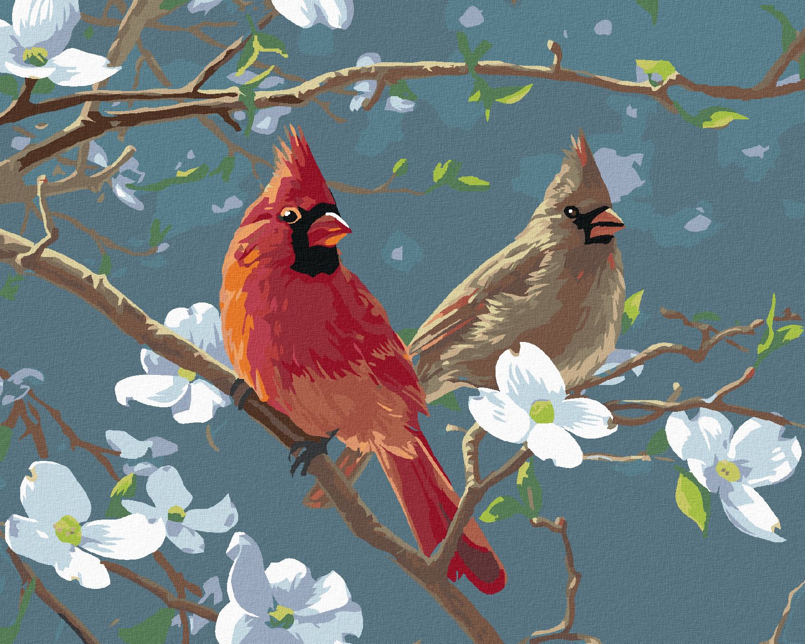 zuty Malování podle čísel – PTÁK KARDINÁL NA VĚTVI DŘÍNY (JAMES HAUTMAN) - Rozměr: 40x50 cm, Rámování: Varianta: bez rámu a bez vypnutí plátna - obrázek 1