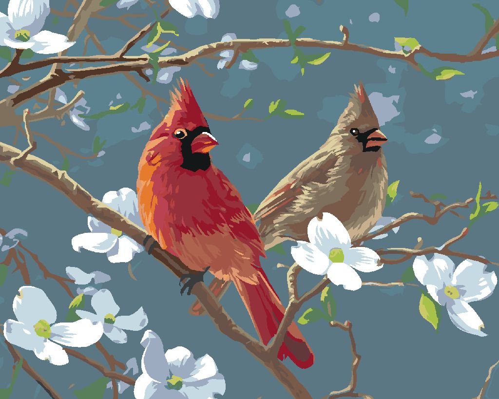 zuty Malování podle čísel – PTÁK KARDINÁL NA VĚTVI DŘÍNY (JAMES HAUTMAN) - Rozměr: 40x50 cm, Rámování: Varianta: vypnuté plátno na rám - obrázek 3