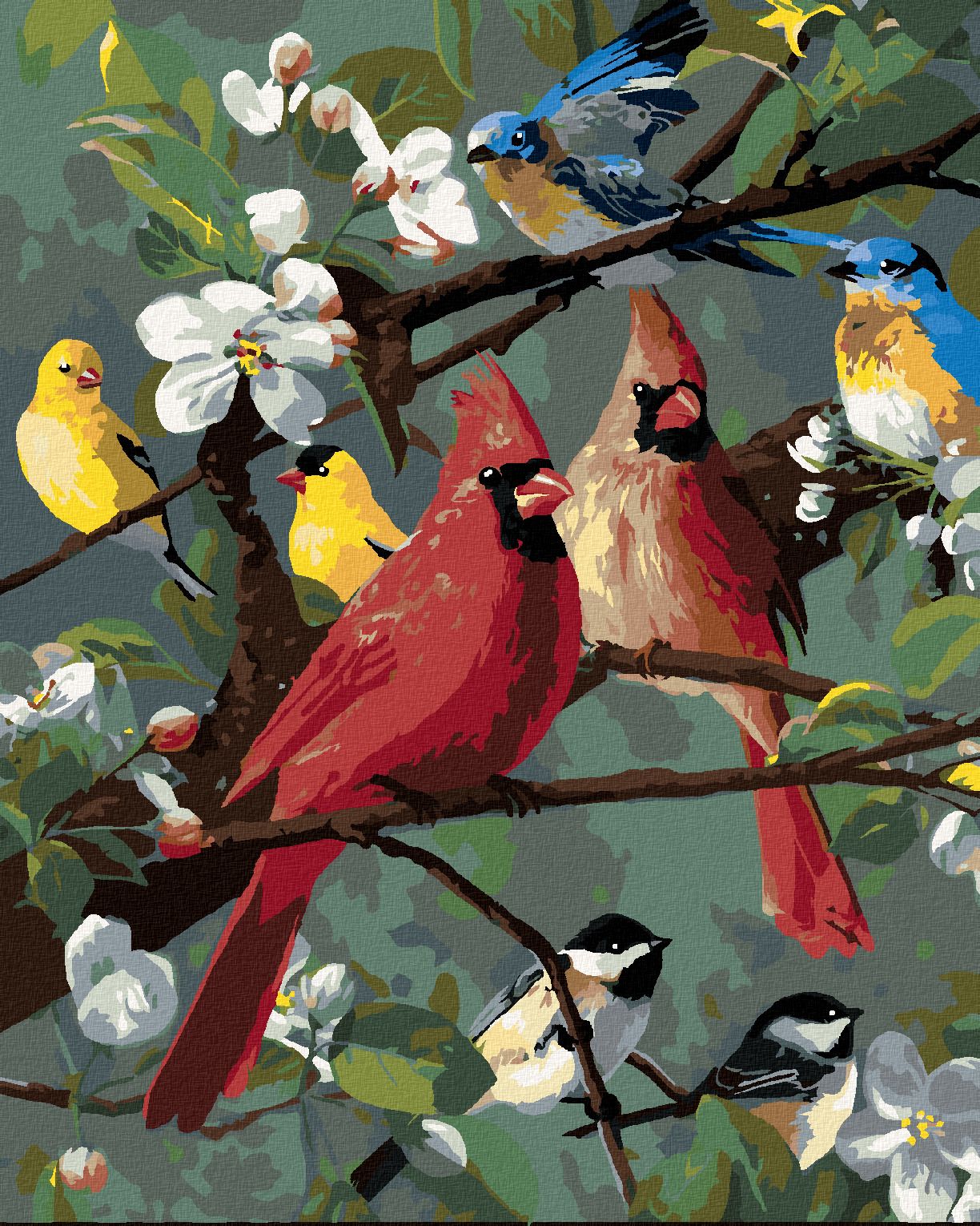 zuty Malování podle čísel - ZPĚVNÍ PTÁCI NA ROZKVETLÉ VĚTVI (ROBERT HAUTMAN) - Rozměr: 40x50 cm, Rámování: Varianta: vypnuté plátno na rám - obrázek 1