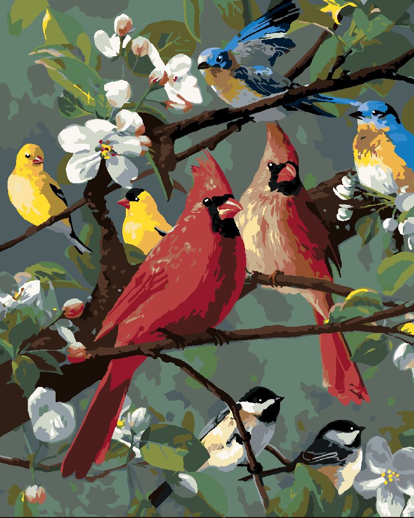 zuty Malování podle čísel - ZPĚVNÍ PTÁCI NA ROZKVETLÉ VĚTVI (ROBERT HAUTMAN) - Rozměr: 40x50 cm, Rámování: Varianta: vypnuté plátno na rám - obrázek 3