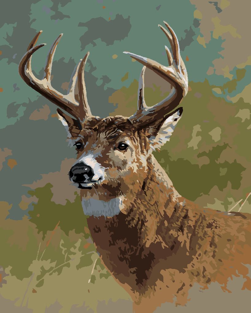 zuty Malování podle čísel - JELEN (JAMES HAUTMAN) - Rozměr: 40x50 cm, Rámování: Varianta: bez rámu a bez vypnutí plátna - obrázek 5