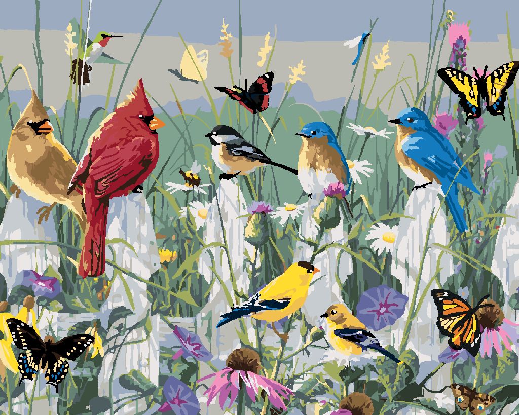 zuty Malování podle čísel - ZPĚVNÍ PTÁCI NA PLOTĚ A MOTÝLI (JAMES HAUTMAN) - Rozměr: 40x50 cm, Rámování: Varianta: bez rámu a bez vypnutí plátna - obrázek 10