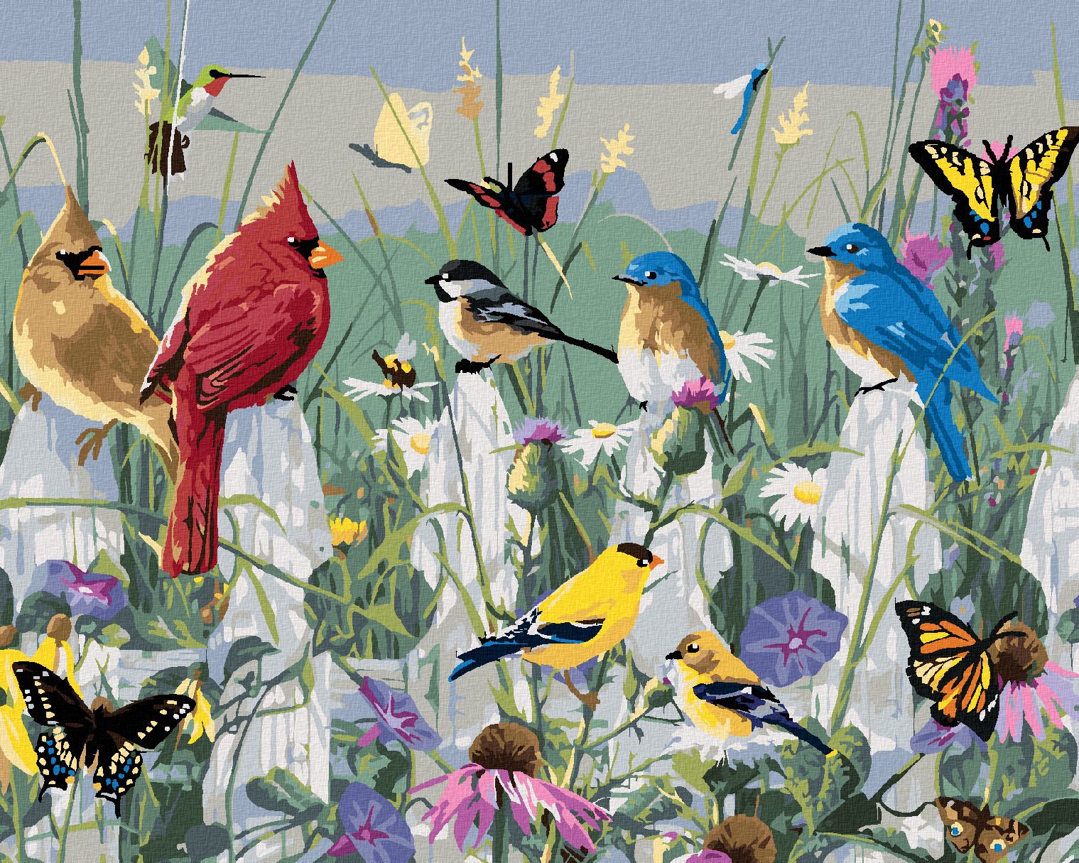 zuty Malování podle čísel - ZPĚVNÍ PTÁCI NA PLOTĚ A MOTÝLI (JAMES HAUTMAN) - Rozměr: 40x50 cm, Rámování: Varianta: vypnuté plátno na rám - obrázek 1