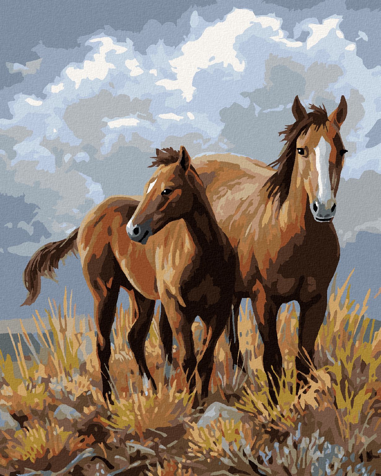 zuty Malování podle čísel – KONĚ NA NÁHORNÍCH PLANINÁCH (JAMES HAUTMAN) - Rozměr: 40x50 cm, Rámování: Varianta: vypnuté plátno na rám - obrázek 1