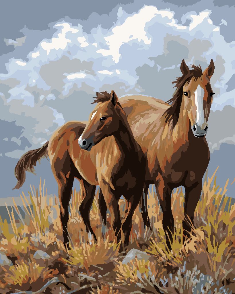 zuty Malování podle čísel – KONĚ NA NÁHORNÍCH PLANINÁCH (JAMES HAUTMAN) - Rozměr: 40x50 cm, Rámování: Varianta: vypnuté plátno na rám - obrázek 3