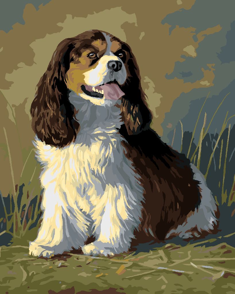 zuty Malování podle čísel – KAVALÍR KING CHARLES ŠPANĚL (JAMES HAUTMAN) - Rozměr: 40x50 cm, Rámování: Varianta: bez rámu a bez vypnutí plátna - obrázek 8