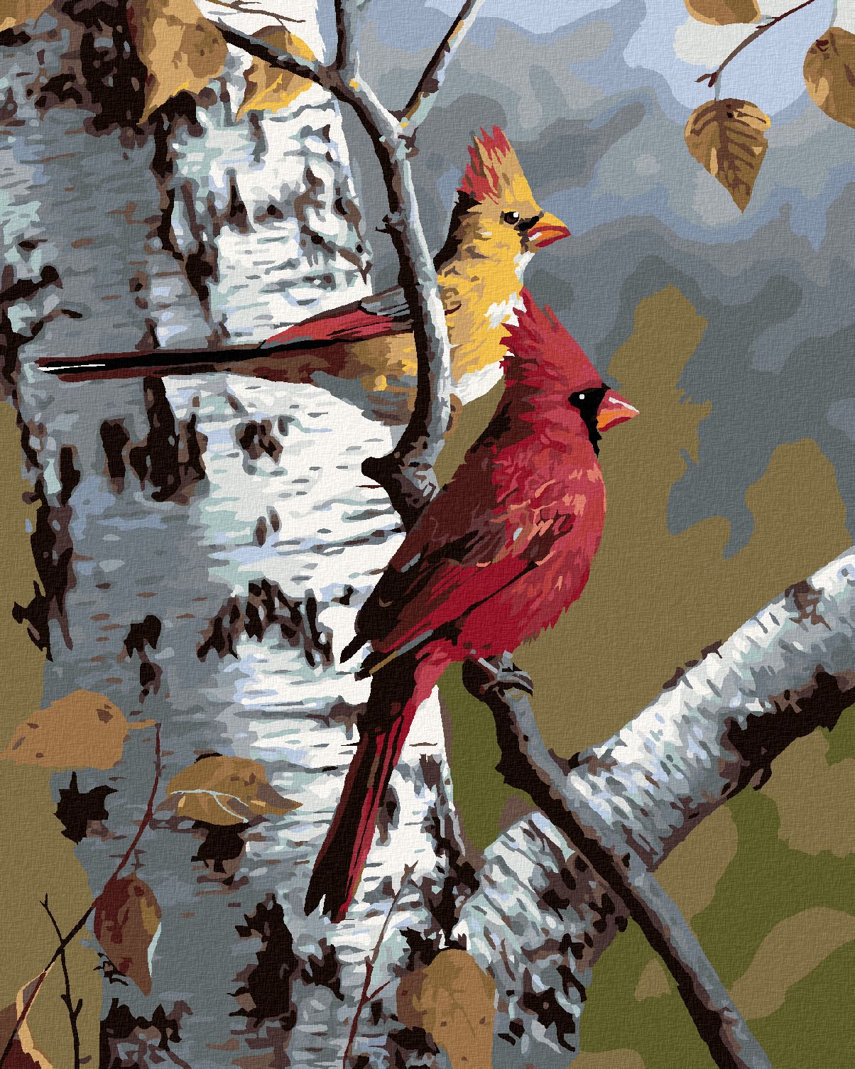 zuty Malování podle čísel - PTÁK KARDINÁL A BŘÍZA (ROBERT HAUTMAN) - Rozměr: 40x50 cm, Rámování: Varianta: bez rámu a bez vypnutí plátna - obrázek 1