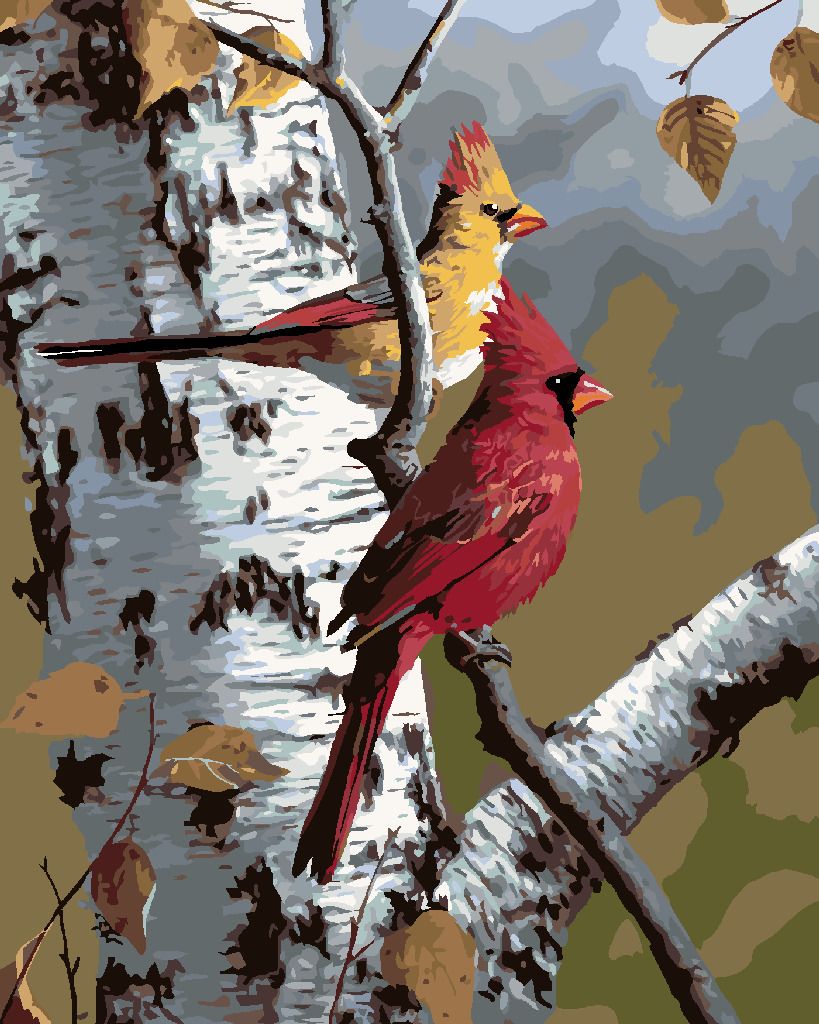 zuty Malování podle čísel - PTÁK KARDINÁL A BŘÍZA (ROBERT HAUTMAN) - Rozměr: 40x50 cm, Rámování: Varianta: bez rámu a bez vypnutí plátna - obrázek 5