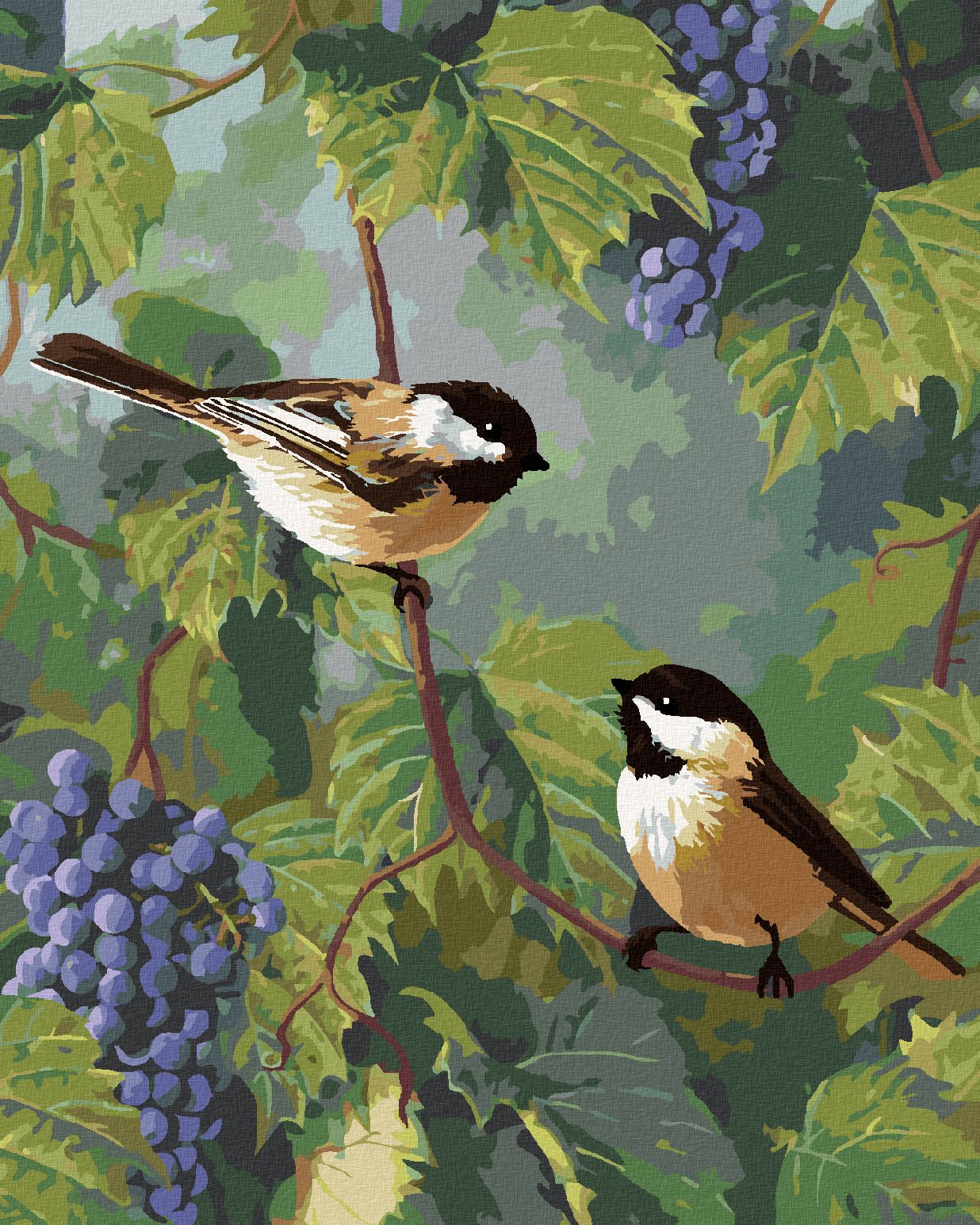 zuty Malování podle čísel - SÝKORA A HROZNY VÍNA (ROBERT HAUTMAN) - Rozměr: 40x50 cm, Rámování: Varianta: bez rámu a bez vypnutí plátna - obrázek 1