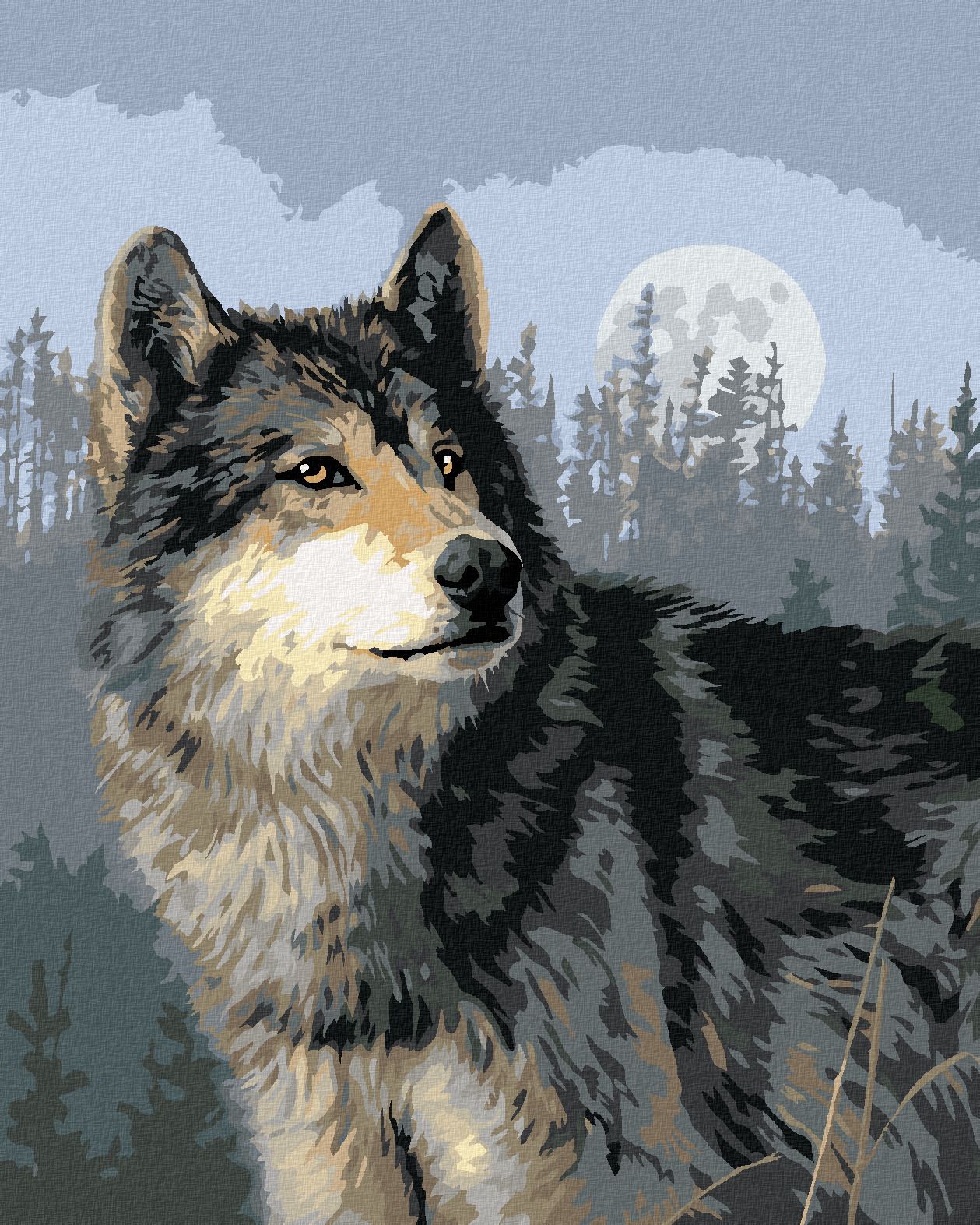zuty Malování podle čísel – VLK, LES A ÚPLŇĚK (JAMES HAUTMAN) - Rozměr: 40x50 cm, Rámování: Varianta: vypnuté plátno na rám - obrázek 1