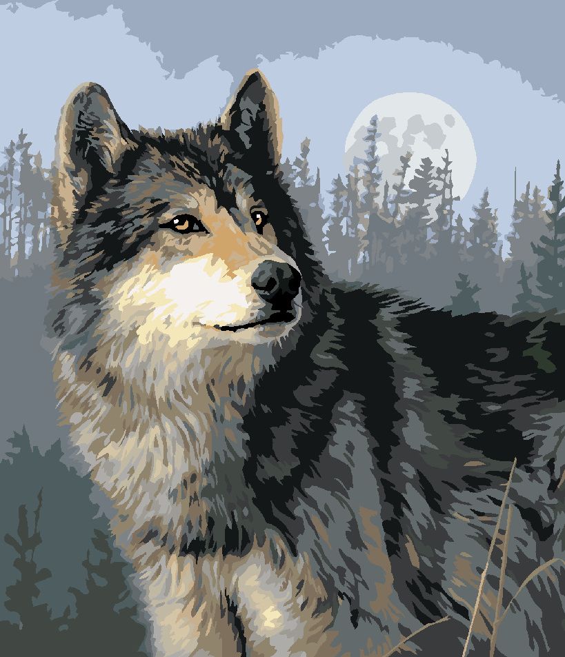 zuty Malování podle čísel – VLK, LES A ÚPLŇĚK (JAMES HAUTMAN) - Rozměr: 40x50 cm, Rámování: Varianta: vypnuté plátno na rám - obrázek 9