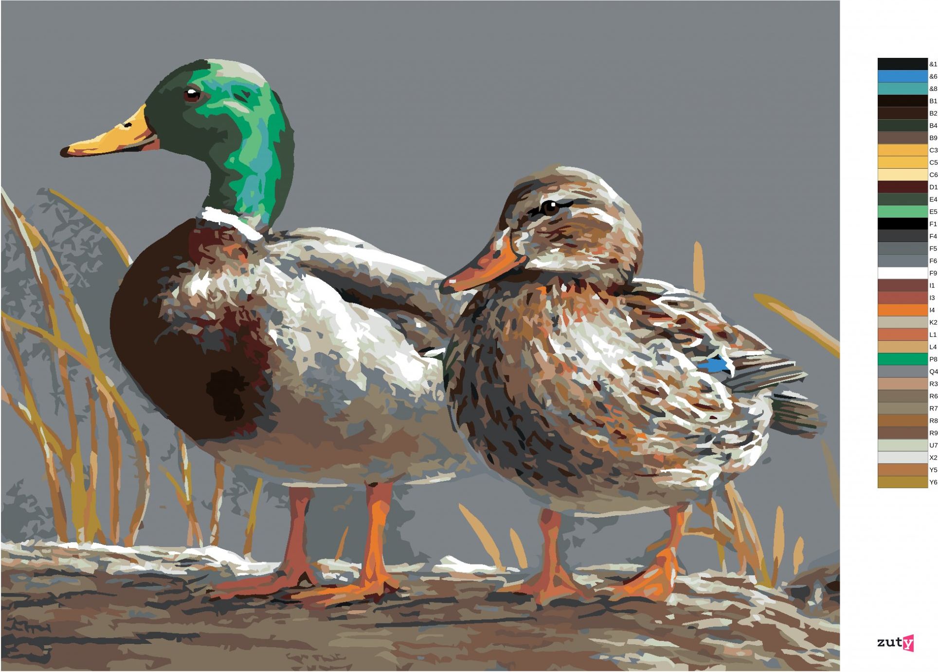 zuty Malování podle čísel - KACHNA (JOE HAUTMAN) - Rozměr: 40x50 cm, Rámování: Varianta: vypnuté plátno na rám - obrázek 5