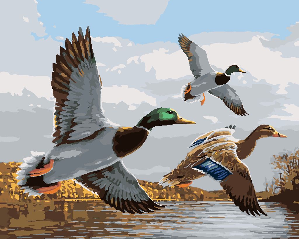 zuty Malování podle čísel - KACHNY V LETU A RYBNÍK (JOE HAUTMAN) - Rozměr: 40x50 cm, Rámování: Varianta: vypnuté plátno na rám - obrázek 4